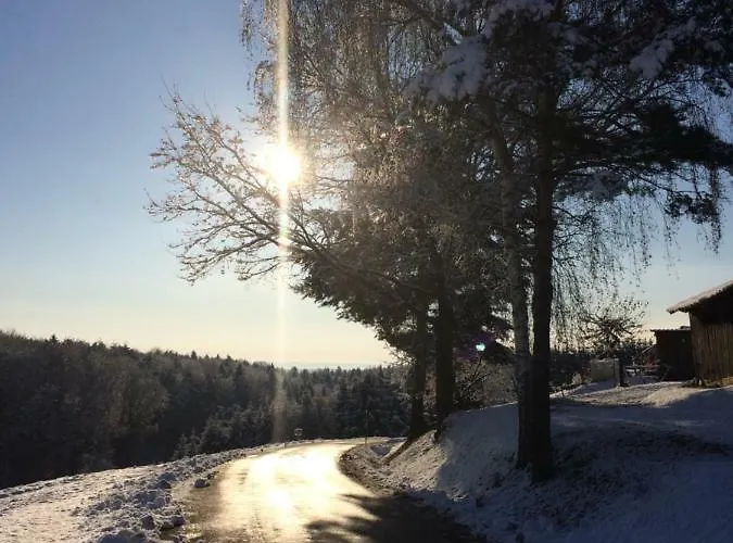 Semesterbostad Nikolaier Weinblick - Muskateller *